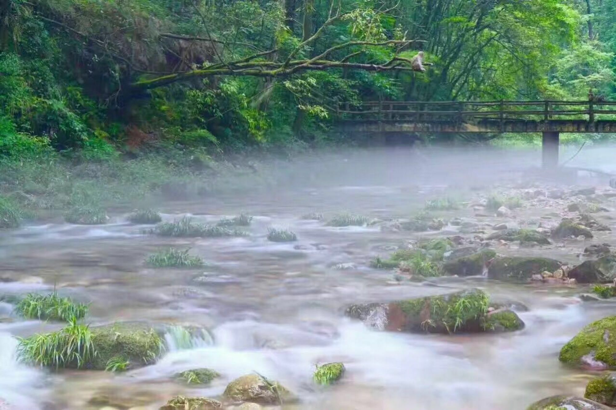 Zhangjiajie Yueranju Hostel المظهر الخارجي الصورة