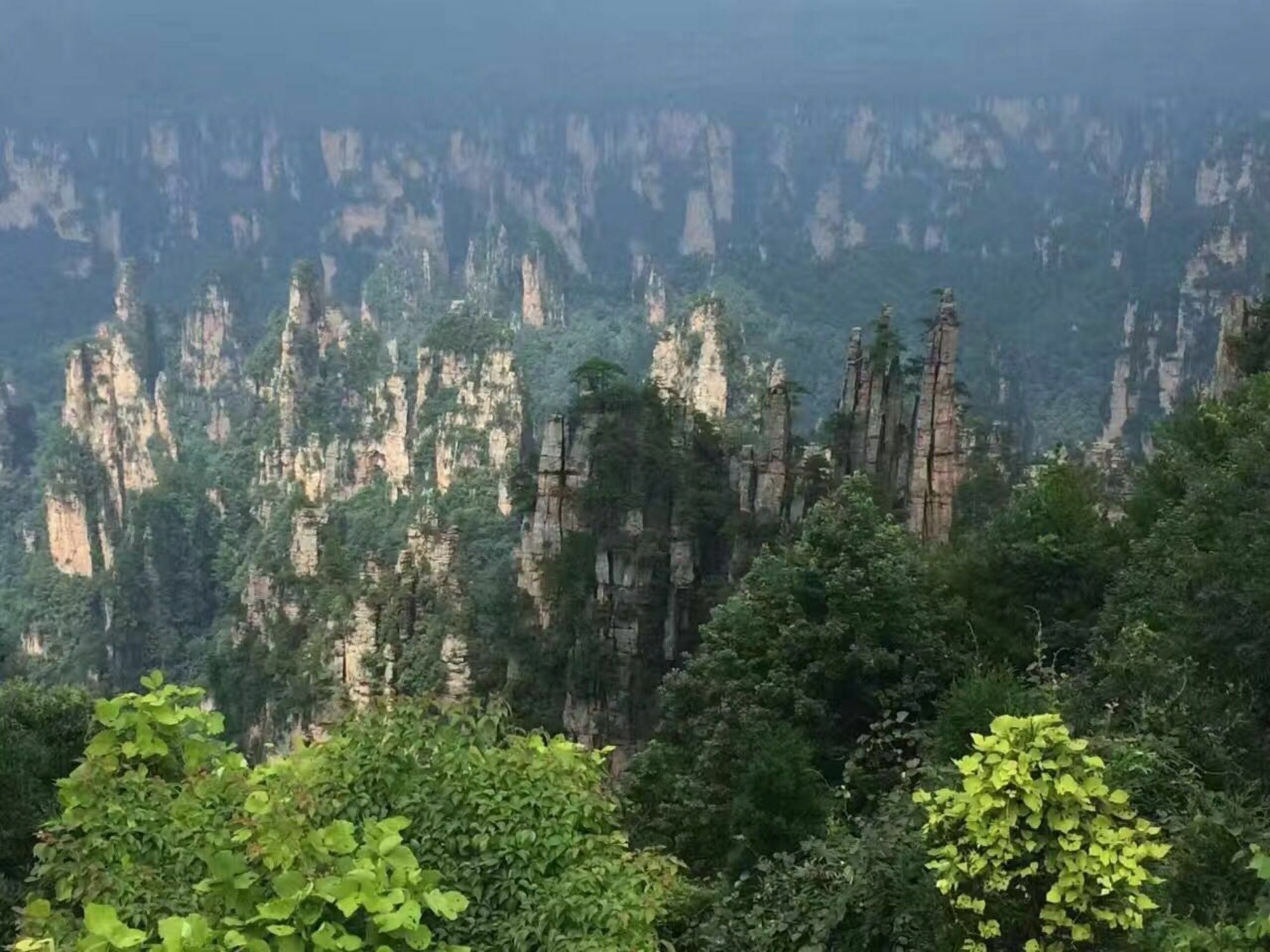 Zhangjiajie Yueranju Hostel المظهر الخارجي الصورة